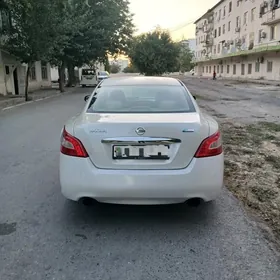 Nissan Maxima 2010