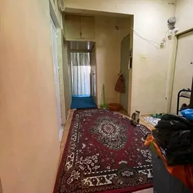 Gowdan 3 et 3 komn baha 46.5