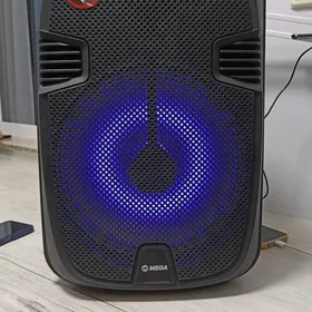 музыкальная колонка микрофон
