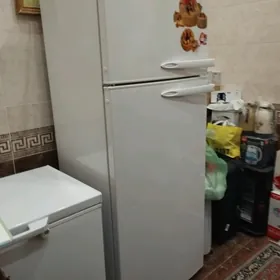 Holodelnik