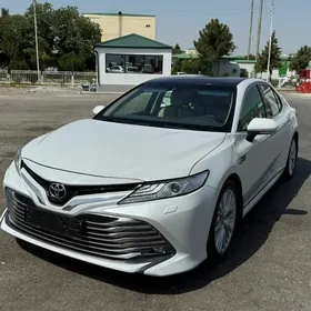 Toyota Camry 2019