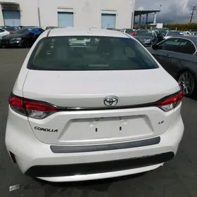 Toyota Corolla 2020