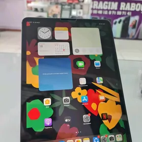 iPad Pro 11 inch 256GB