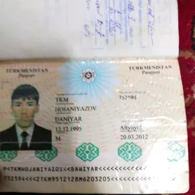 pasport yitdi