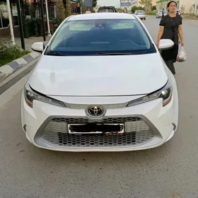 Toyota Corolla 2020
