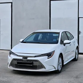 Toyota Corolla 2021