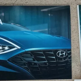 HYUNDAI SONATA  20-23Ý   KITAP