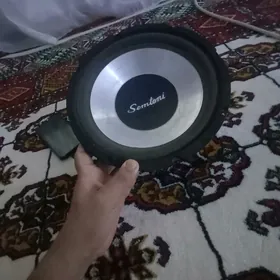bass bocka pioneer