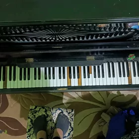 Pianino