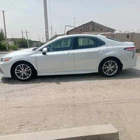 Toyota Camry 2020