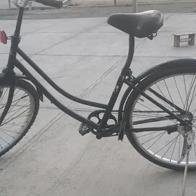 tigir 26lyk