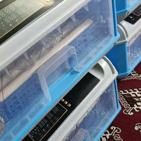 inkubator инкубатор