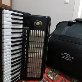 akkordeon