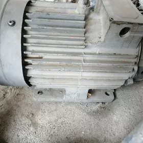 Elektrodwigatel