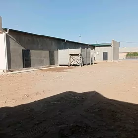 Arenda sklad ammar склад
