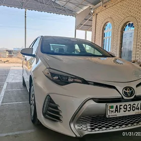 Toyota Corolla 2019