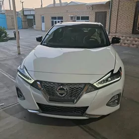 Nissan Maxima 2023