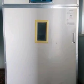 inkubator. инкубатор