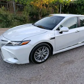Toyota Camry 2019
