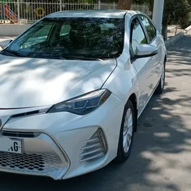 Toyota Corolla 2017