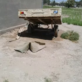 pirsep