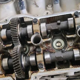 windom motor
