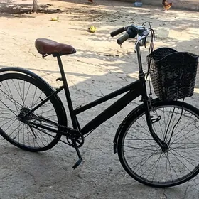 ỳapoşka tigir