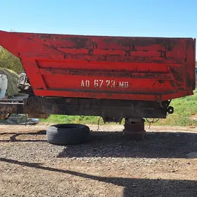 kuzwa
