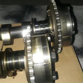 Vanus 2.5 cemri Öküz