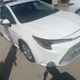 Toyota Corolla 2020