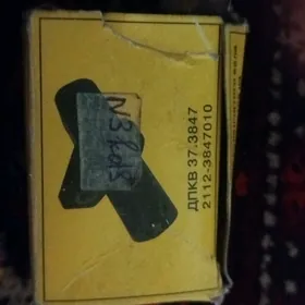 kolenwal datcik
