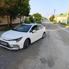 Toyota Corolla 2020