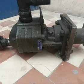 ensa nasos