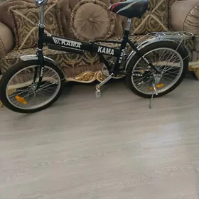 tigr kama