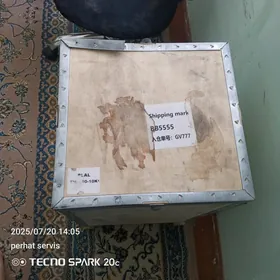 tok kopeltyan