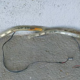Corolla tumalnik