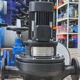 GRUNDFOS nasos