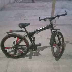 TIGIR 26