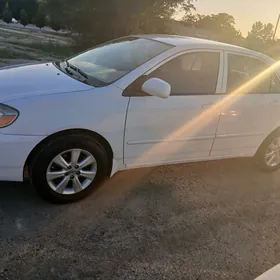 Toyota Corolla 2007
