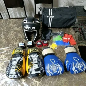 Boks elligi