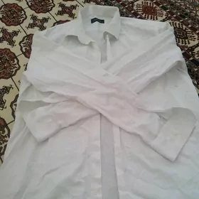 ак койнеклер