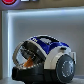 LG Plesos