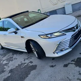 Toyota Camry 2022