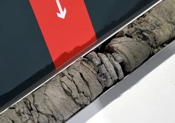 Denwer muzeýiniň ulag duralgasynyň astyndan 67 million ýyllyk dinozawryň oňurgasy tapyldy