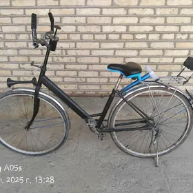 satlyk. tigir. 27