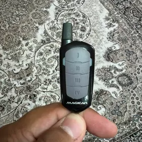 magicar pult
