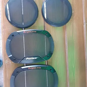 pioneer kalonka setka