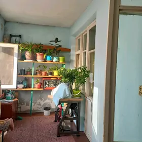 satlyk jaý
