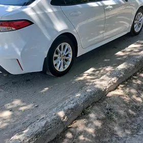 Toyota Corolla 2020