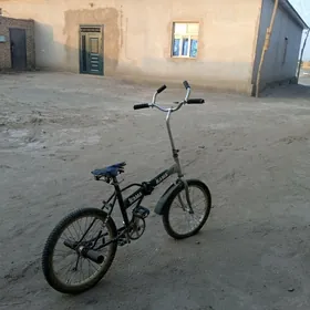 kama tigir
